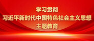 一插二亲三上床女神自慰学习贯彻习近平新时代中国特色社会主义思想主题教育_fororder_ad-371X160(2)